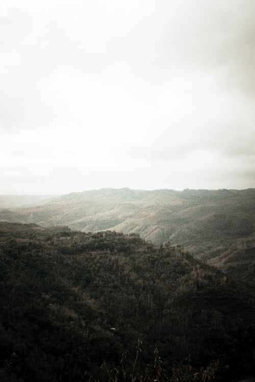 Free Wonderful scenery of mountains covered with lush vegetation located in valley against cloudy sky Stock Photo