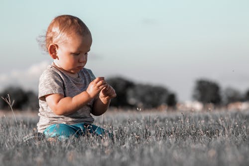 Funny little kid picking flowers on meadow