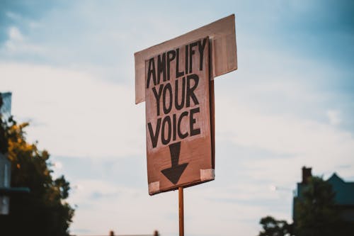 Sign with amplify your voice during protest