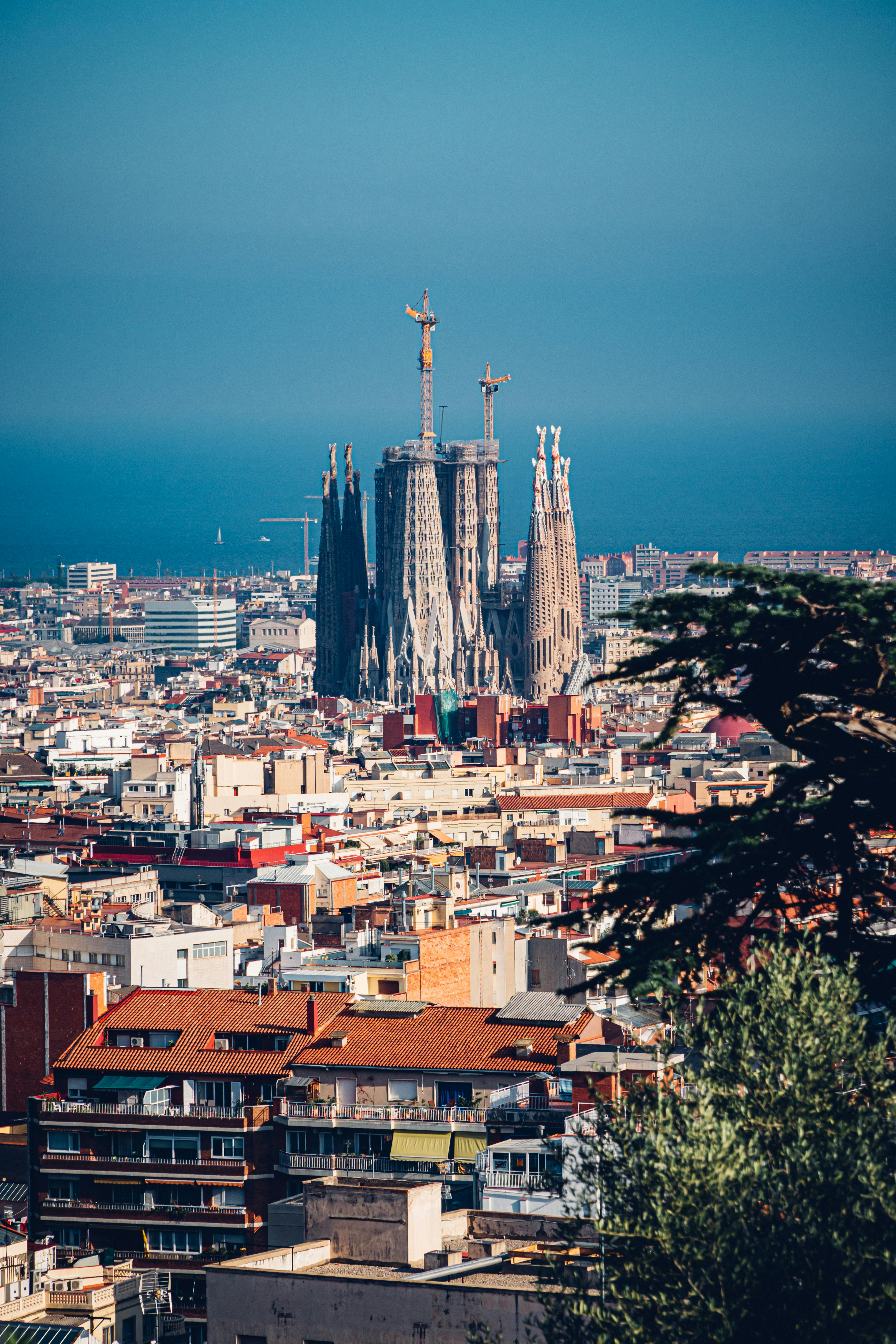 a beautiful cathedral in barcelona