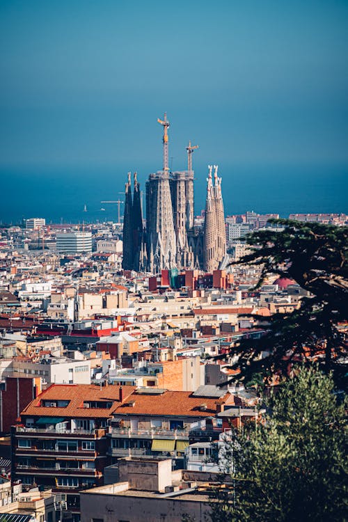   A Beautiful Cathedral in Barcelona 
