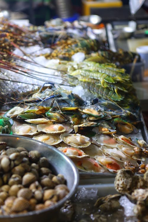 High angle pile of assorted fresh healthy raw seafood placed on stall of traditional market