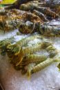 Fresh seafood on crushed ice in market