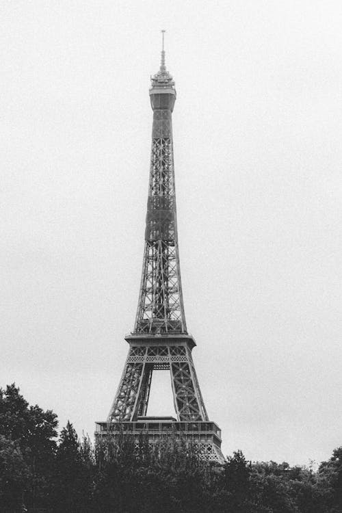 Black and white of grey cloudless sky over majestic wrought iron lattice Eiffel tower near tall trees in Paris in France