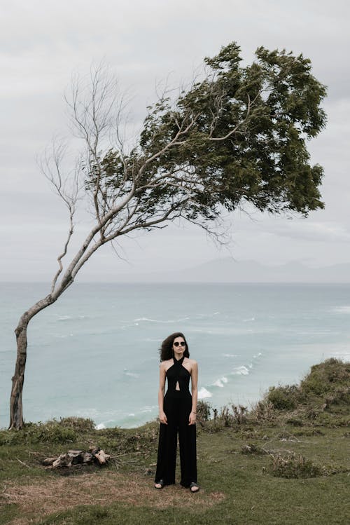 Free Full length calm slim female wearing trendy black jumpsuit and sunglasses while standing on grassy seashore near bent tree against waving sea on overcast day Stock Photo
