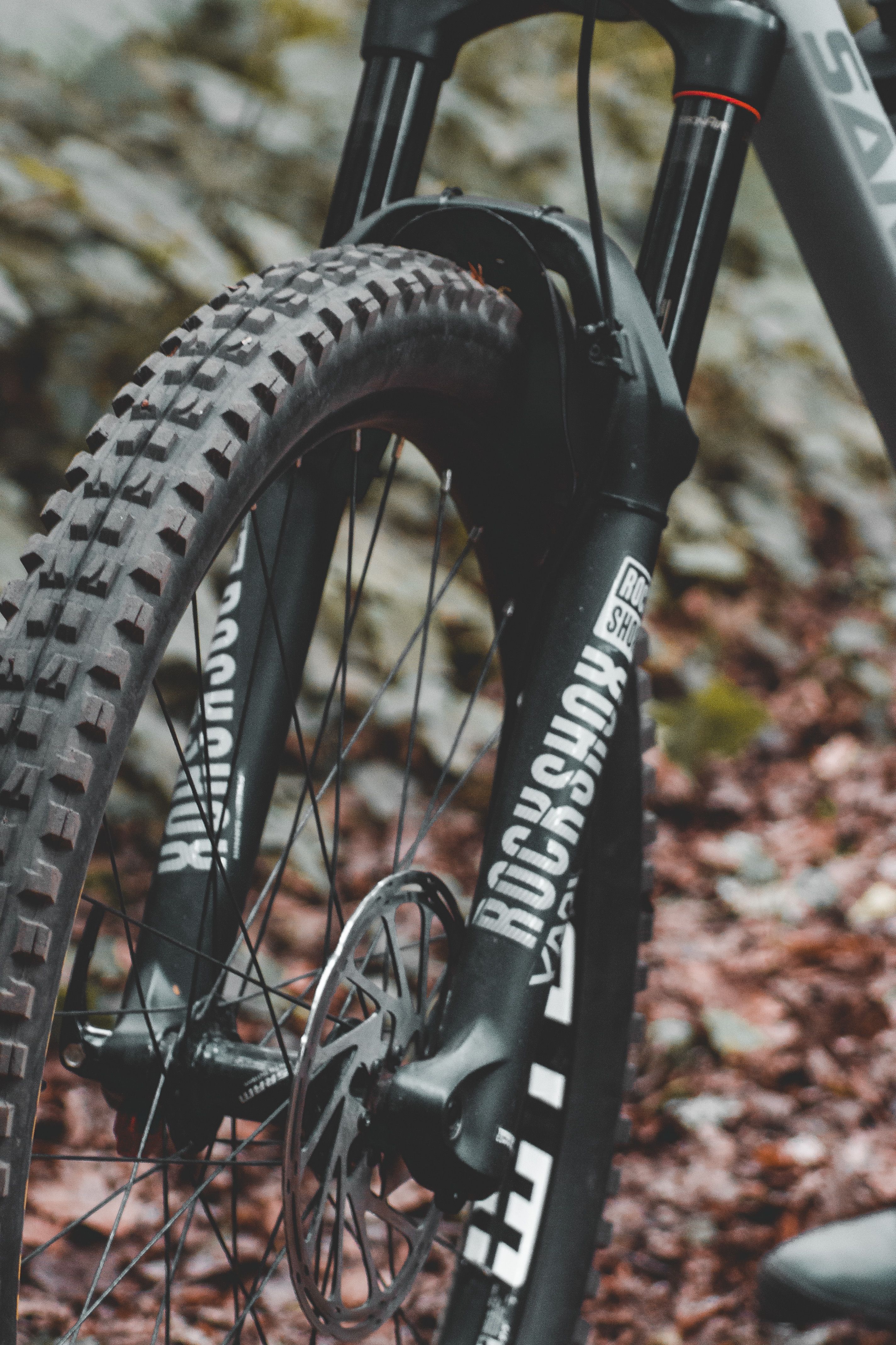 Modern speed bicycle placed on leaves on ground in forest against blurred greenery