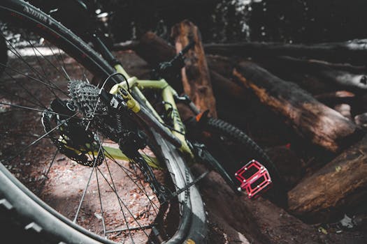 Close-up of a mountain bike resting amidst logs in a shaded forest area, highlighting outdoor adventure.