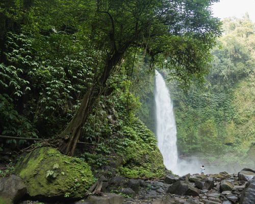 Free Breathtaking landscape of rapid waterfall flowing through green grassy hills in tropical jungle on sunny day Stock Photo