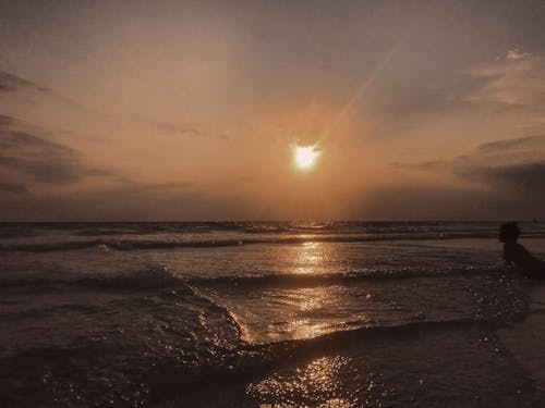 ビーチガール, ビーチの夕日, 海洋生物の無料の写真素材