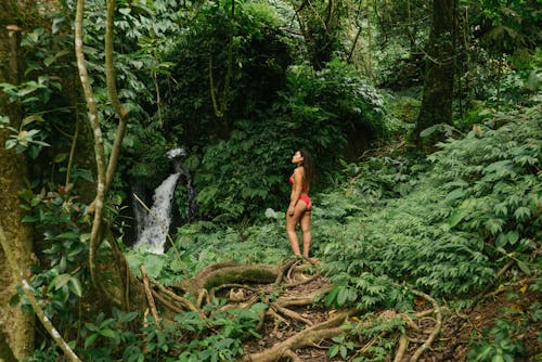 Relaxed ethnic lady in jungle forest near waterfall