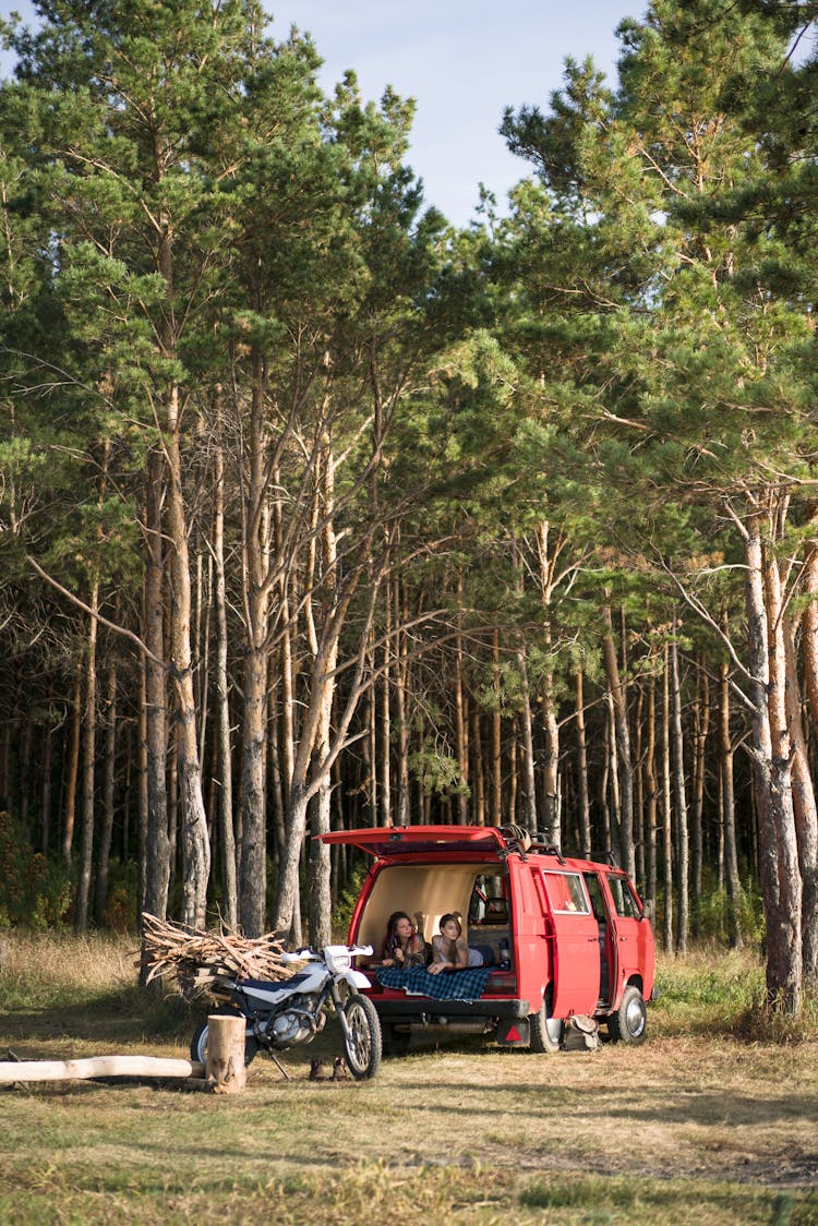 Truck In Forest