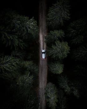 A lone car travels through a dense, dark forest. Aerial view capturing the mood of a secluded road journey.