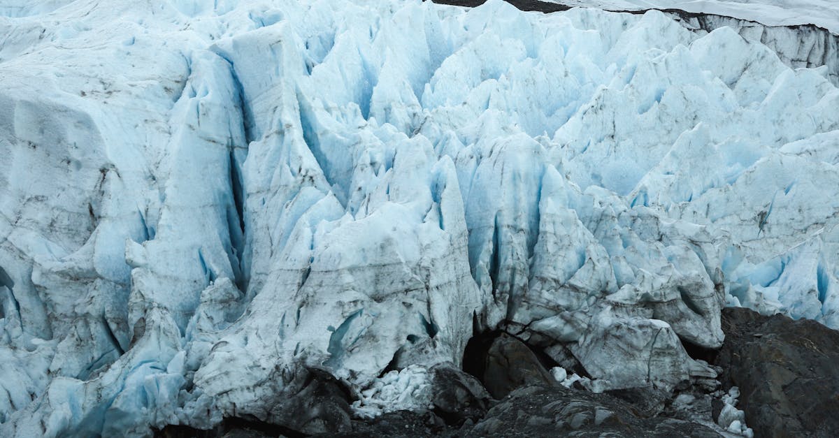 Antarctica Ice Sheets Wildlife