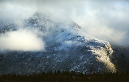 Immagine gratuita di destinazioni di viaggio, foresta, montagna