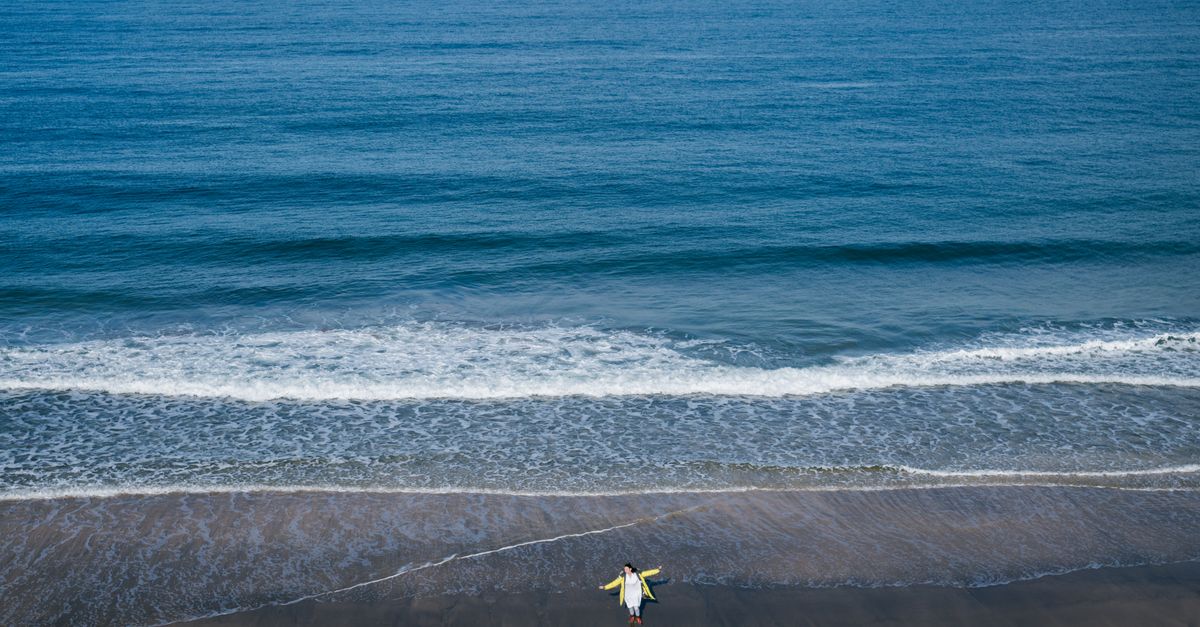 🌊 海岸探险必看!鸟取市白兔海岸传奇故事 💙 🌊 海岸探险必看!鸟取市白兔海岸传奇故事 💙