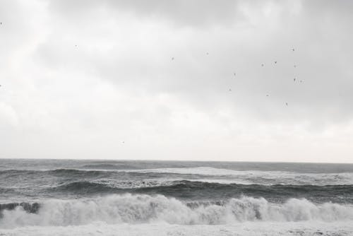 bulutlu, dalga, deniz içeren Ücretsiz stok fotoğraf
