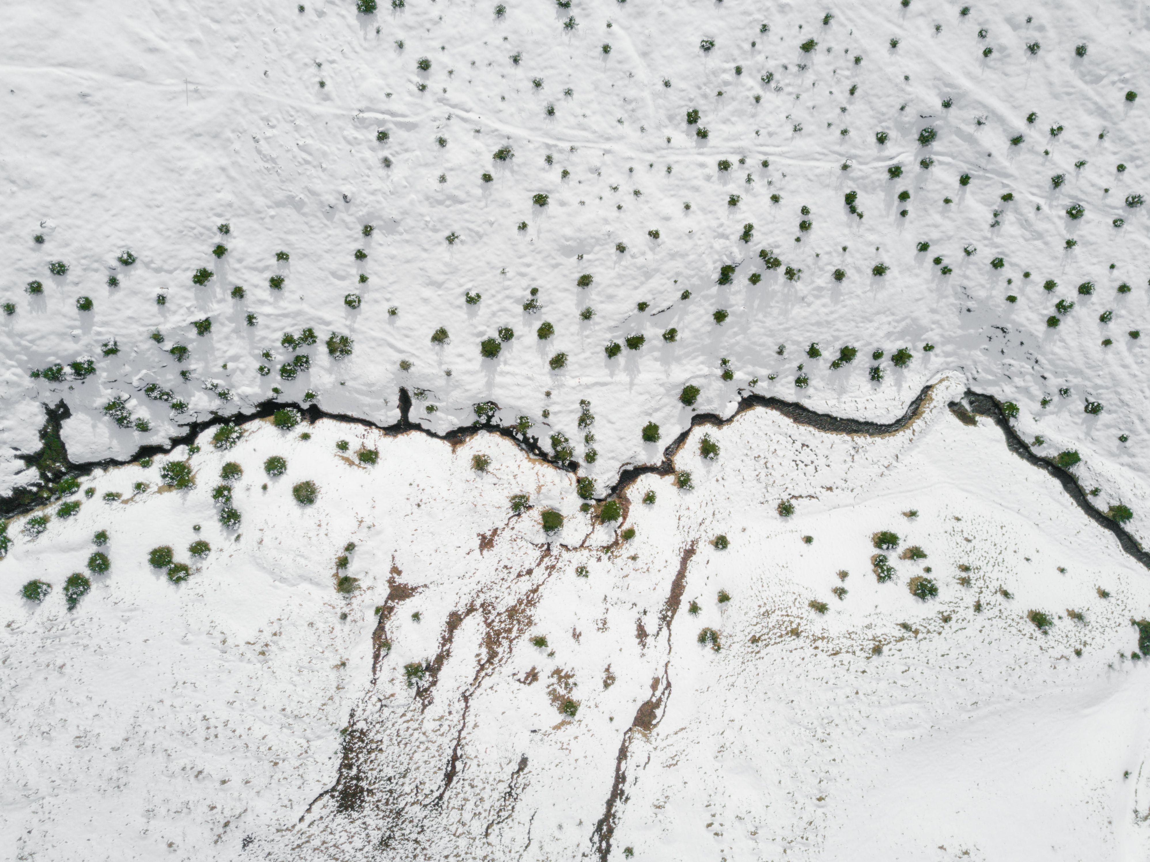 As snowpack shrinks, Sierra Nevada mountain ponds undergo dramatic change