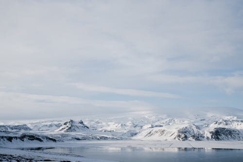 Scenic Photo of a Winter Landscape