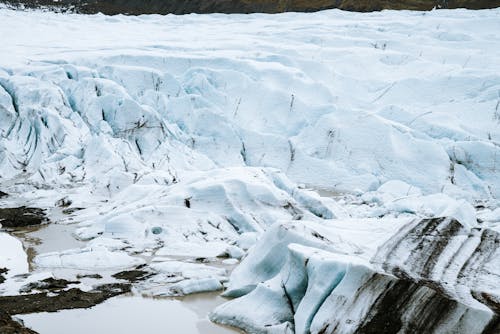 Glacier in Close Up