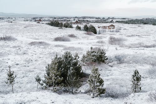 Immagine gratuita di case, freddo - temperatura, gelo