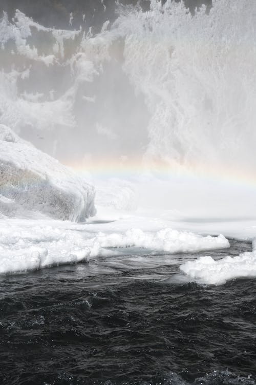 คลังภาพถ่ายฟรี ของ ขาวดำ, ทะเล, น้ำแข็ง