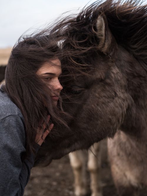 Free Close-up of a woman embracing a horse outdoors, capturing a tender moment. Stock Photo