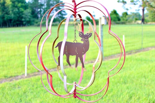 Free stock photo of decoration, deer, hunting