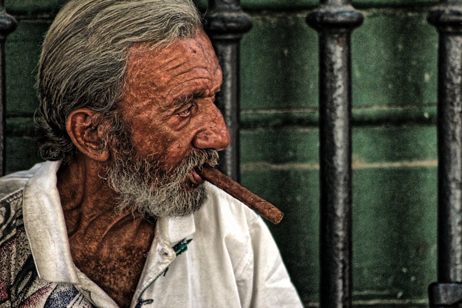 Free stock photo from JOHN · Pexels