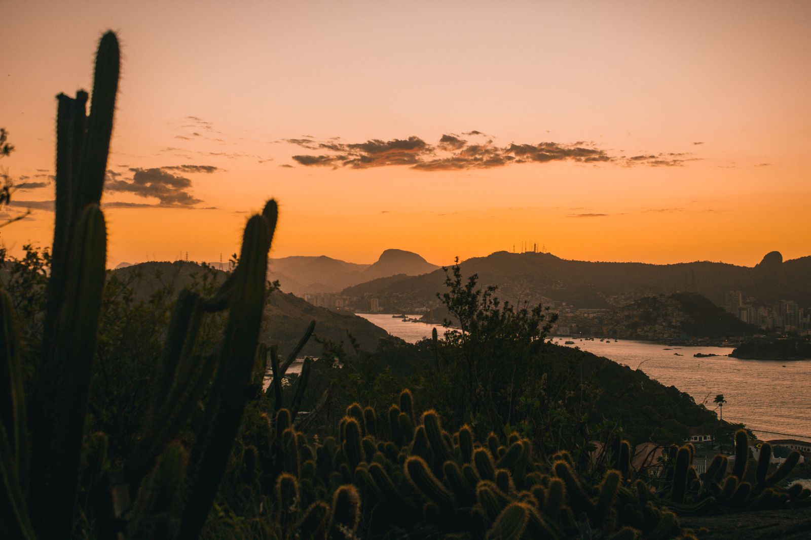 pexels photo 4574204