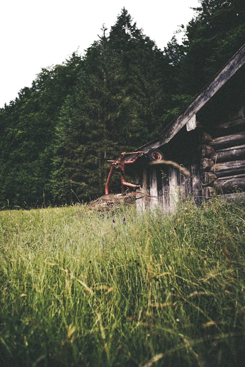 Free stock photo of forest, meadow, wooden cabin