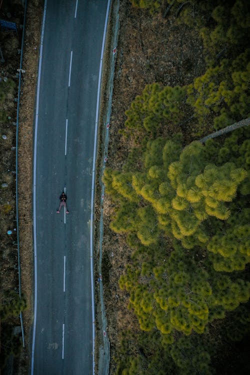Drone view of distant anonymous person lying on asphalt road amidst picturesque coniferous forest on sunny day