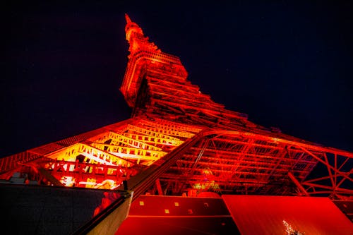 Základová fotografie zdarma na téma 東京 タ ワ ー