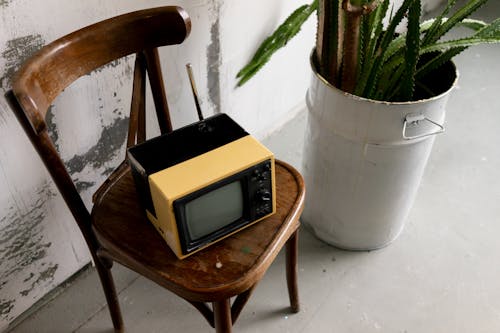 From above of wooden chair with small retro TV set and bucket with growing cactus