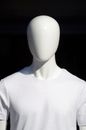 Person in White Crew Neck Shirt