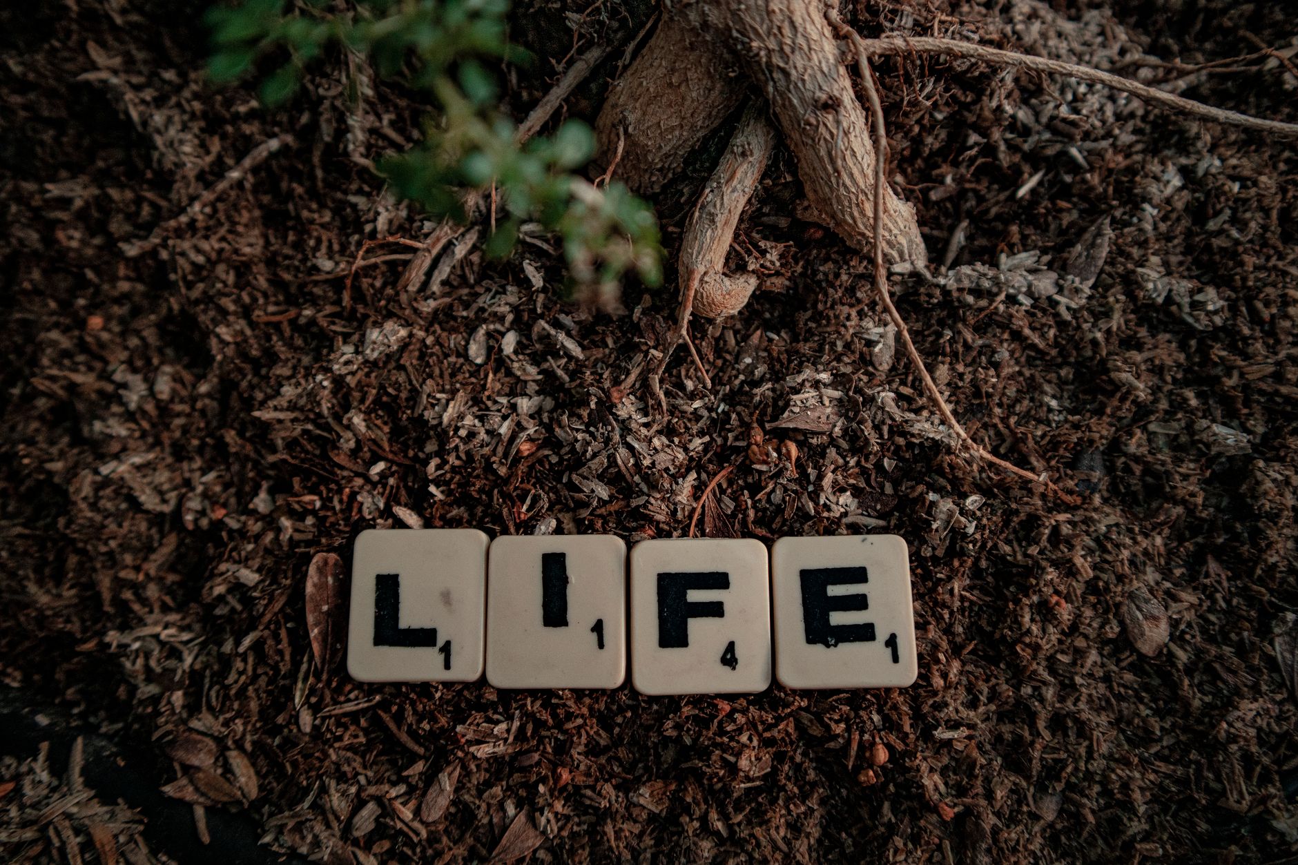 When Life Disrupts Homeownership: A Real Estate Professional's View