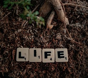 Life Phot Life Wallpaper Photos, Download The BEST Free Life Wallpaper Stock ...