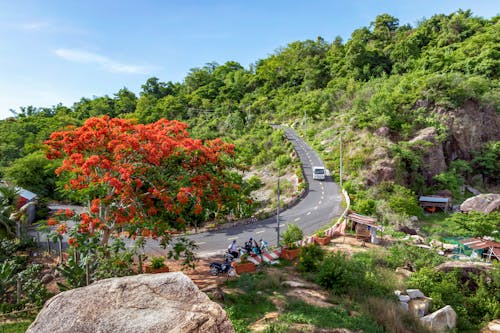 Foto profissional grátis de árvores verdes, estrada, interior