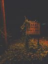 Shabby sign covered with grass at dark night