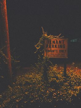Shabby sign covered with grass at dark night