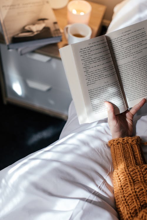 Foto profissional grátis de amante de livros, fechar-se, holding