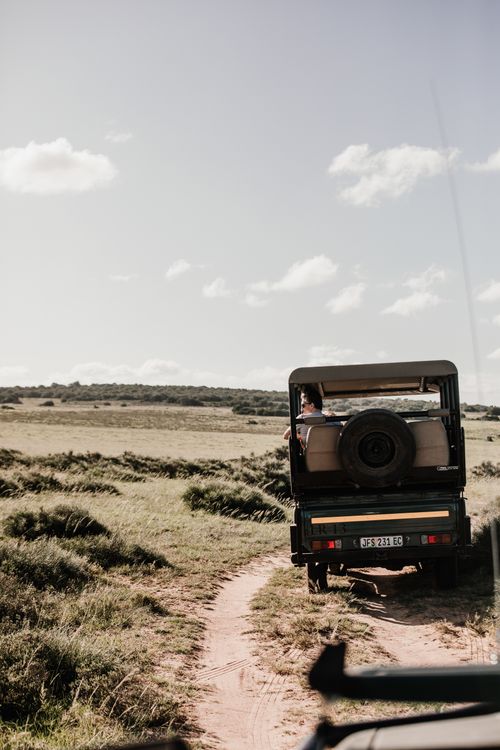 Free Explore the vast plains of South Africa on a safari adventure under clear skies. Stock Photo
