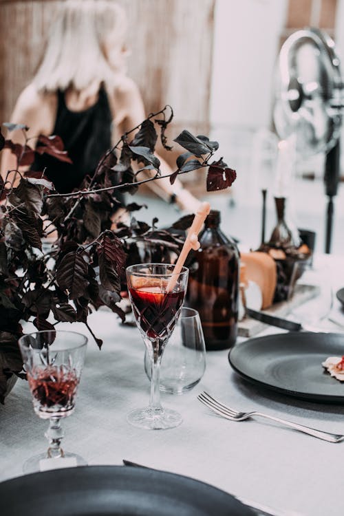 Glasses of wine on table decorated with plant