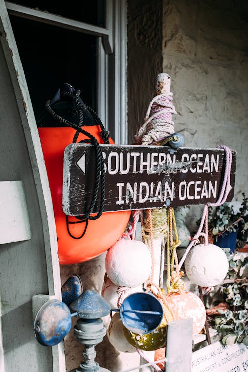 Bunch of buoys and old wooden pointer with plants in pot in shabby room in daylight