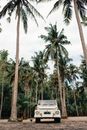 Car on ground among palms