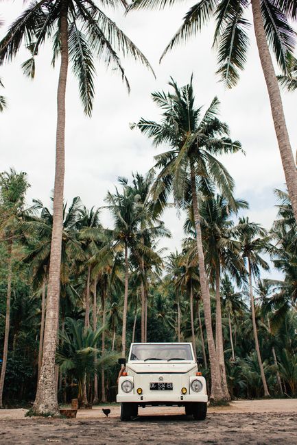 White car on beige sand under tall palms under gray sky in tropical town
