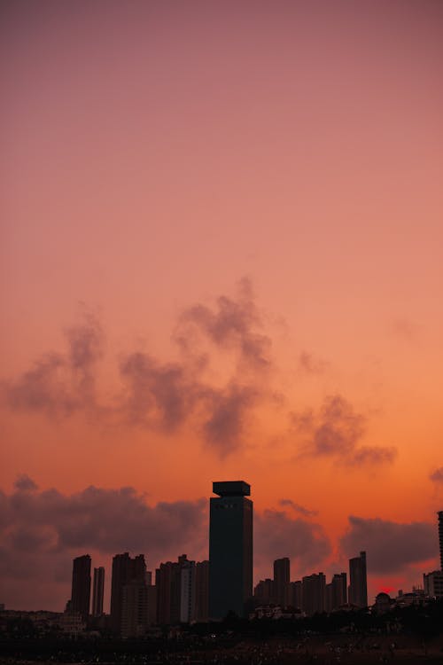 Free Wonderful pink sky with clouds over skyline at sunset Stock Photo