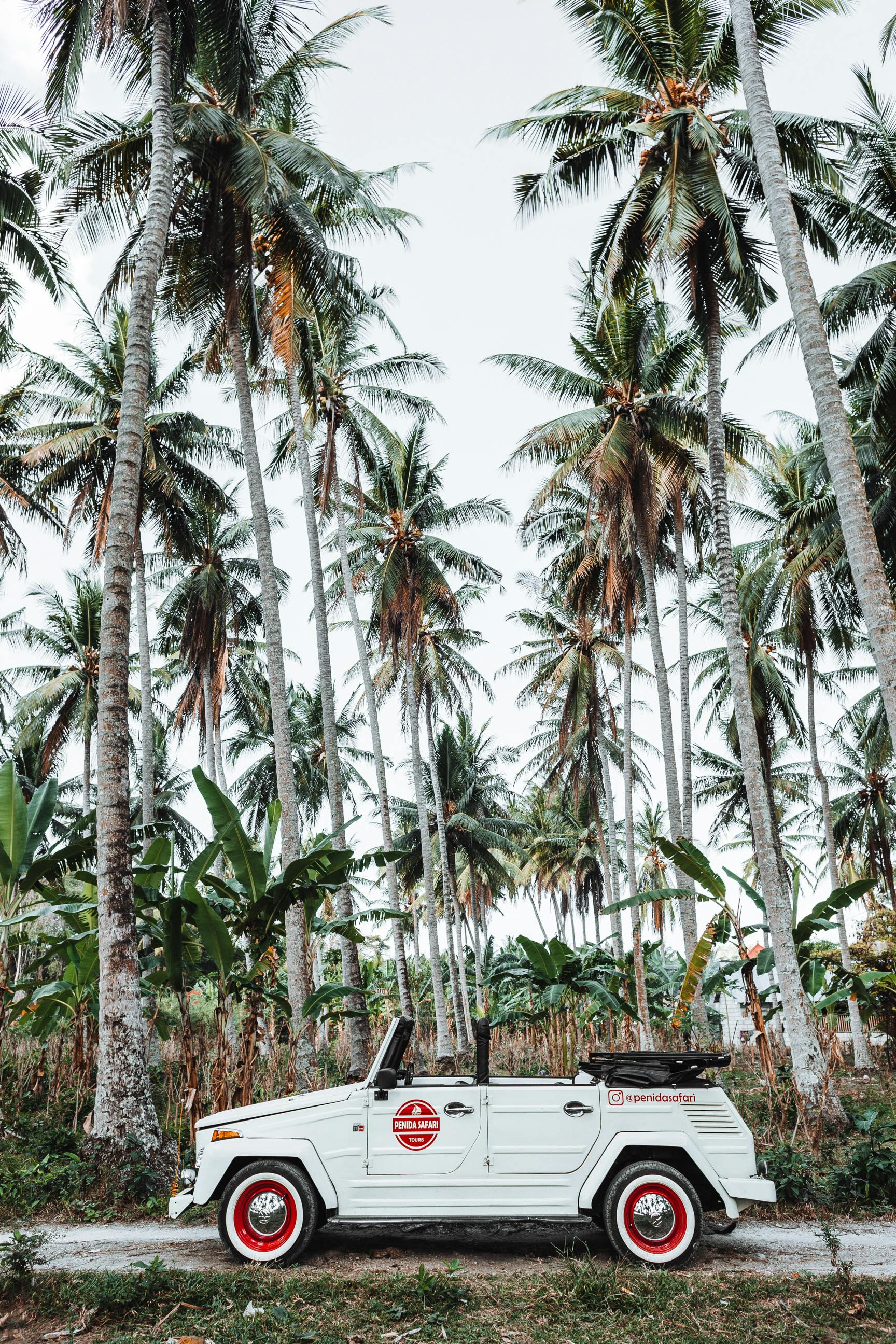 car on road in jungle in daytime