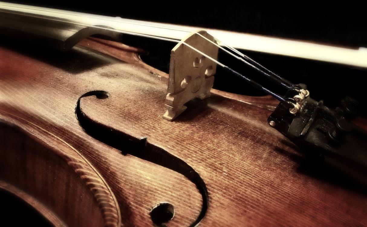Foto Gratuita Di Musica Strumento Musicale Violino foto-gratuita-di-musica-strumento-musicale-violino