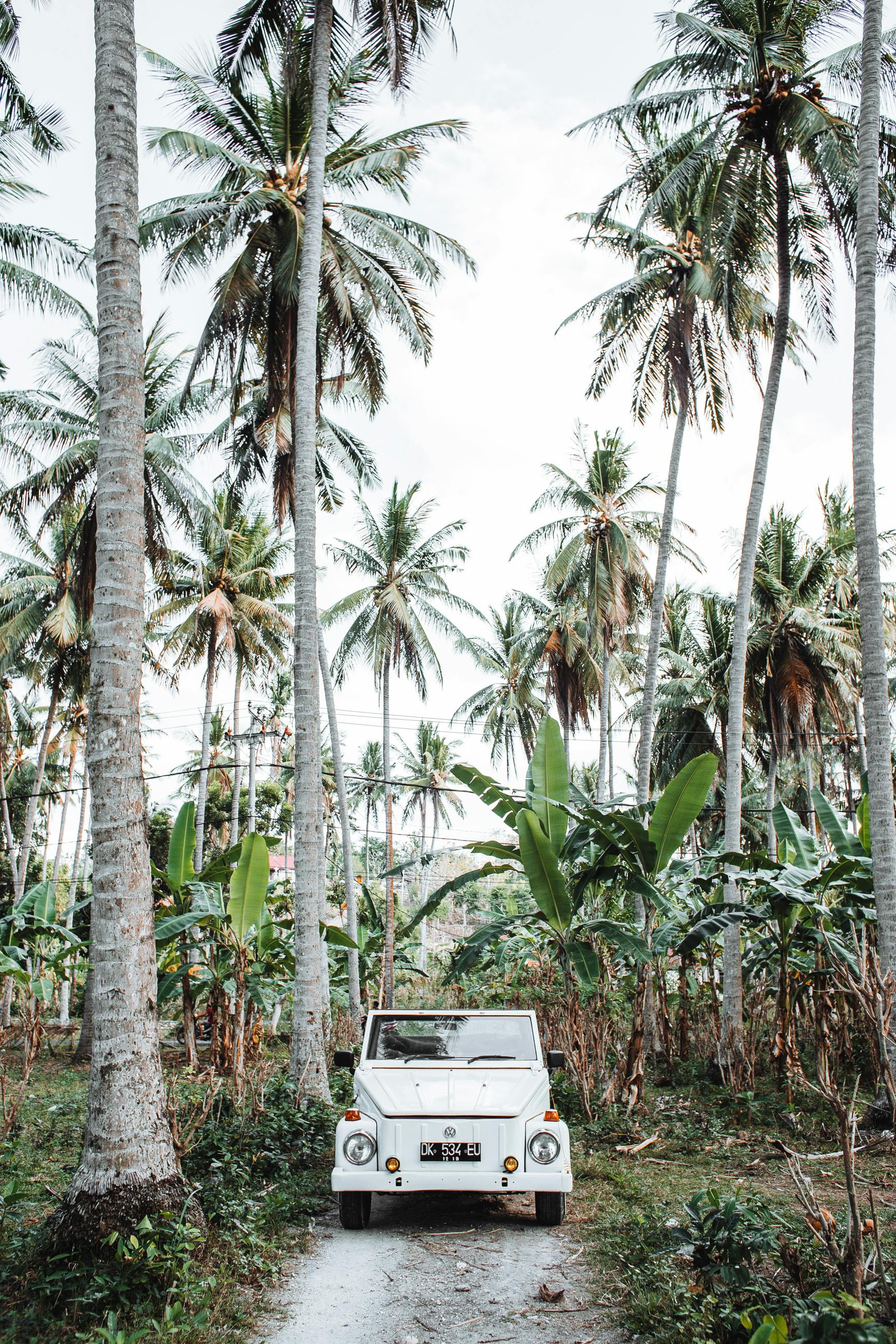 parked retro car on road in jungle