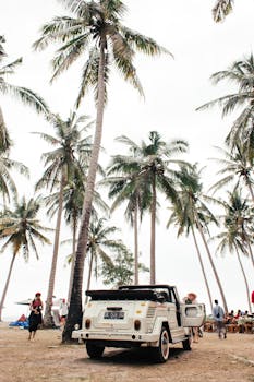 Parked convertible car on public sandy shore with tall palm trees under clear sky